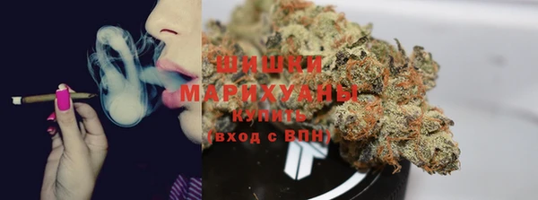 гидра Волосово