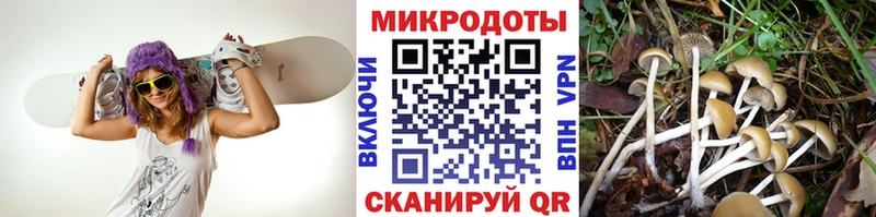 Галлюциногенные грибы мухоморы  Купить  Новосиль 